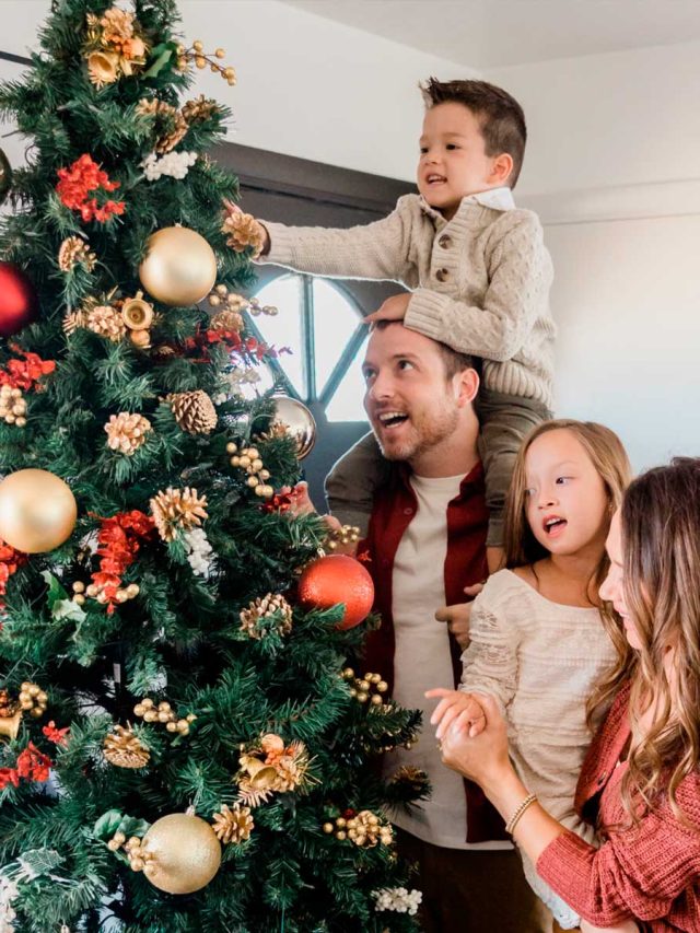 cropped-arvore-de-natal.jpg