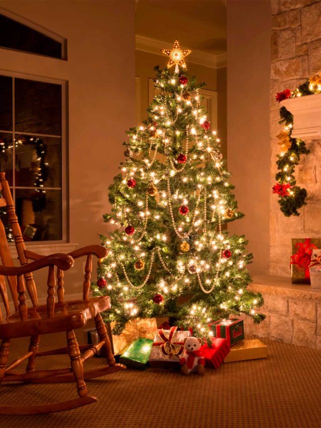 cropped-qual-o-dia-para-montar-a-arvore-de-natal​-3.jpg