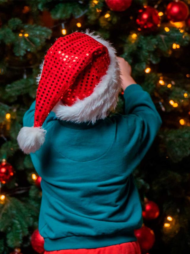Qual o dia para montar a árvore de Natal