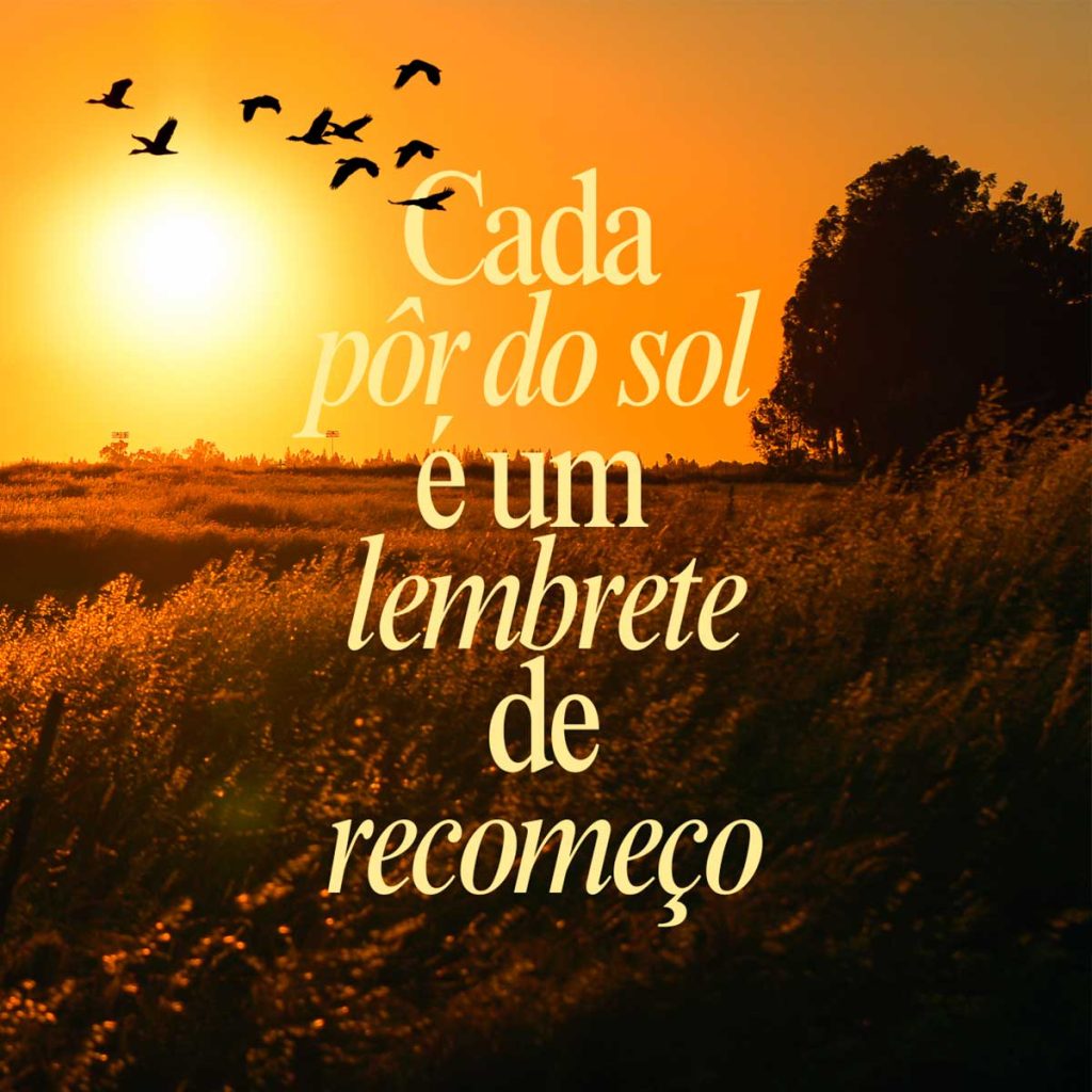 frase sobre recomeco