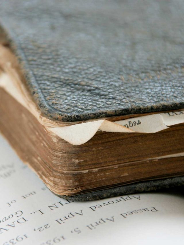 Quantos Livros Tem no Novo Testamento