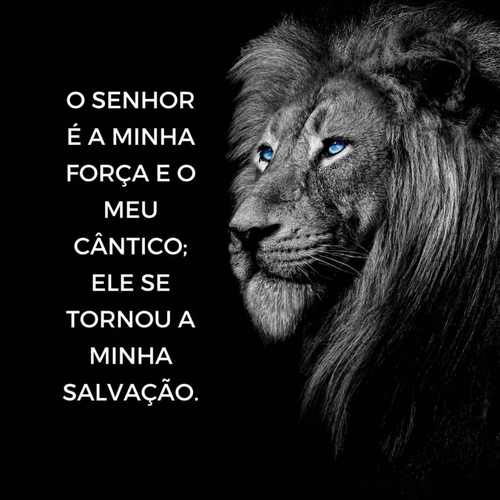 o senhor e a minha forca