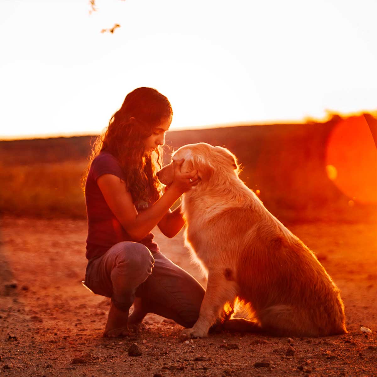 Orações Para Animais