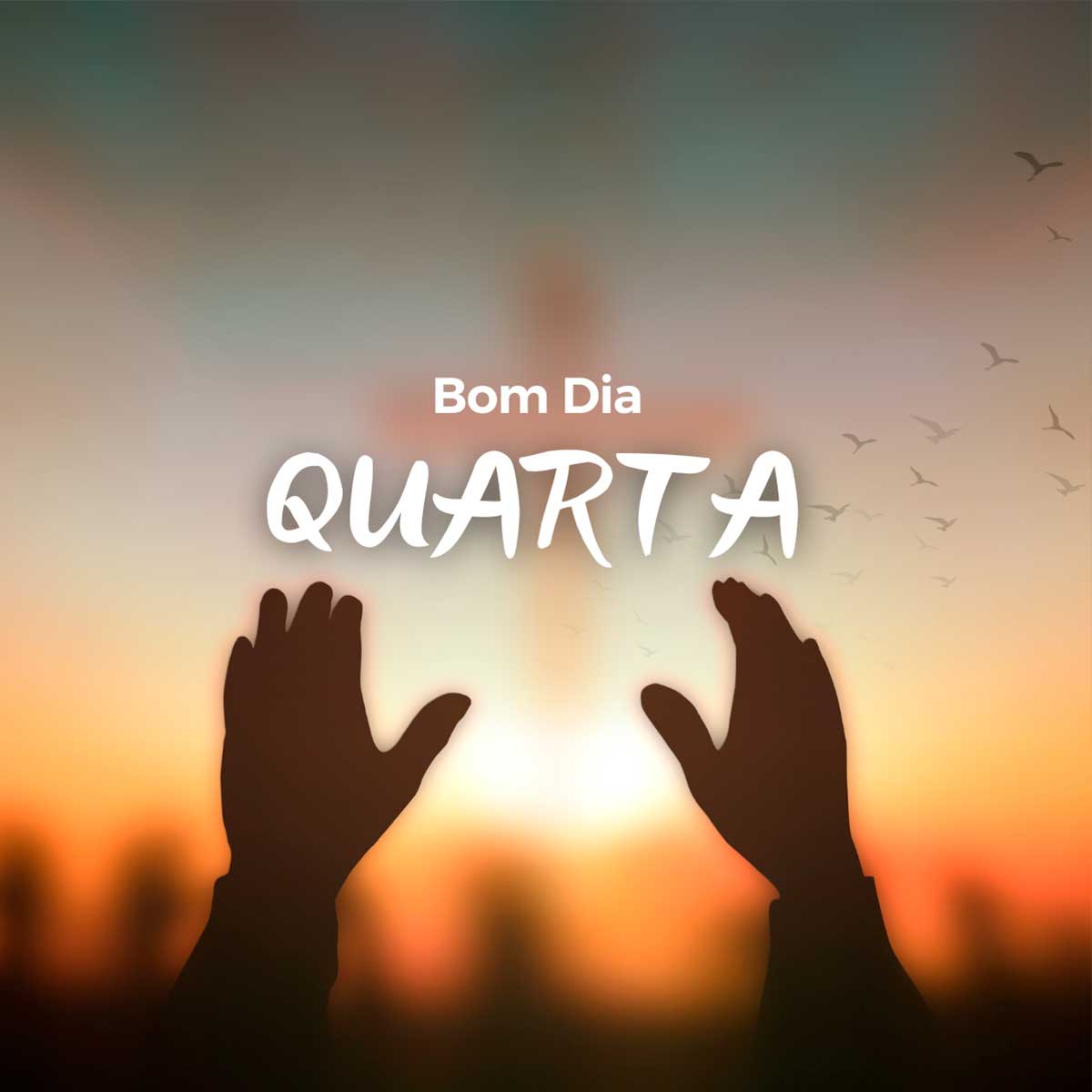 Bom Dia Quarta feira Abençoada por Deus