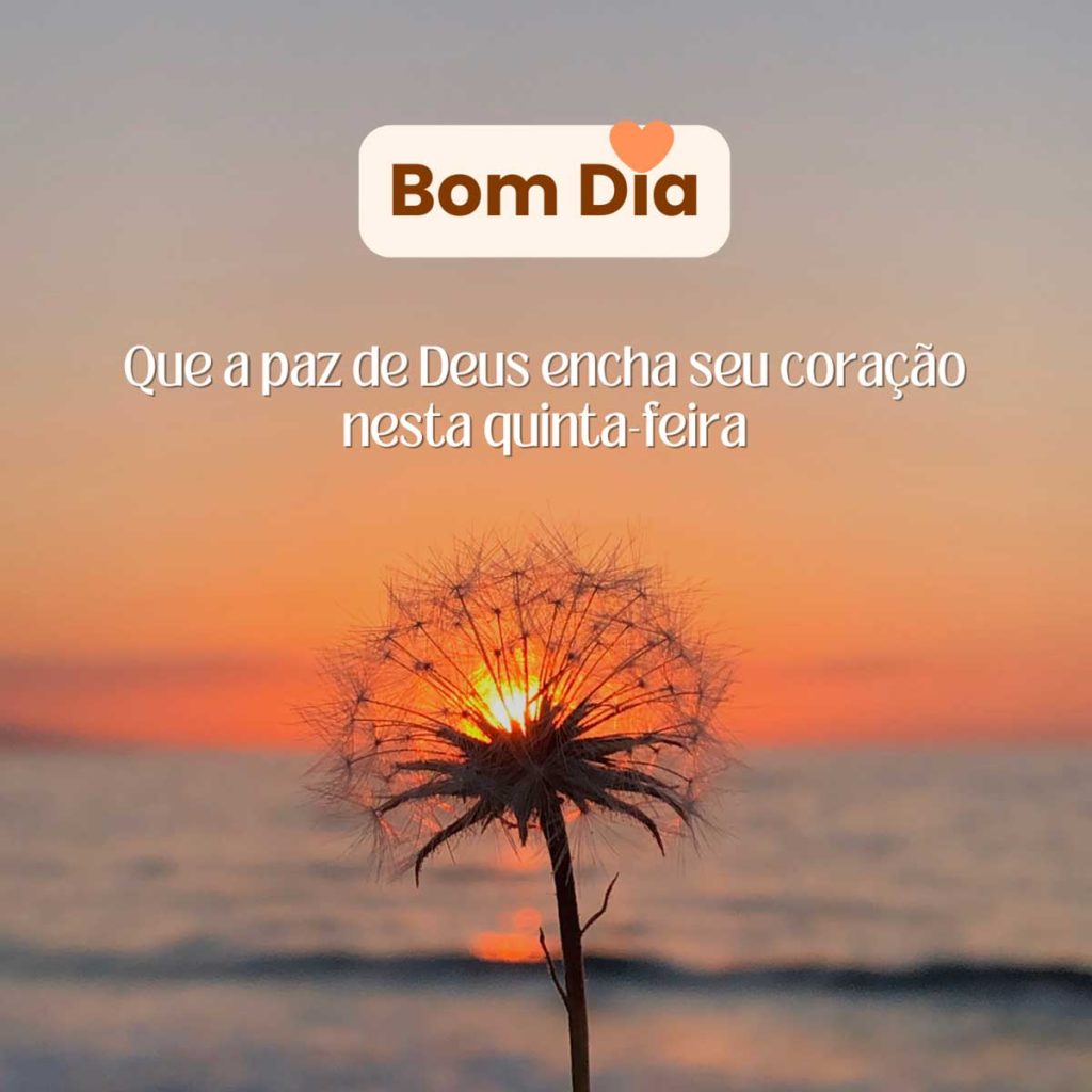 bom dia quinta feira abencoada por deus 1