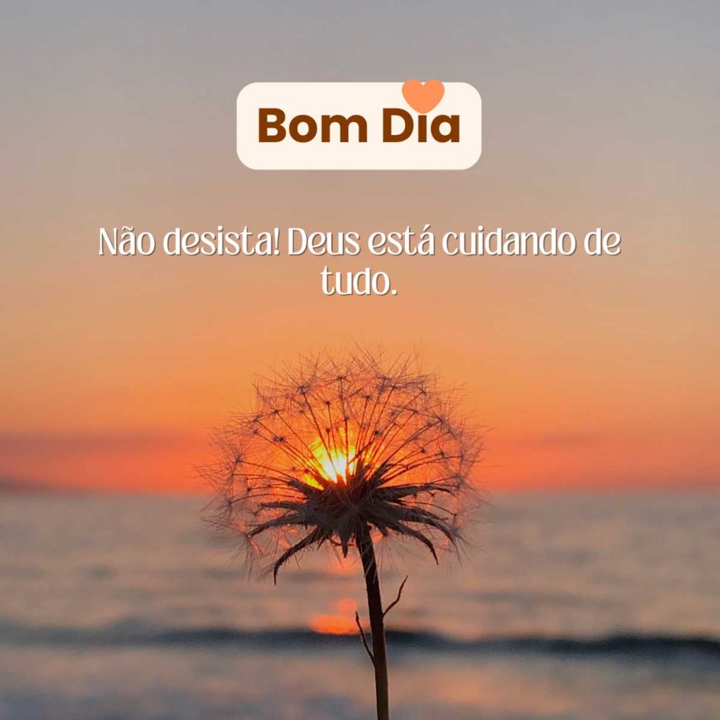 bom dia quinta feira abencoada por deus 1 4