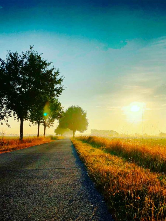 Good Morning with Prayer