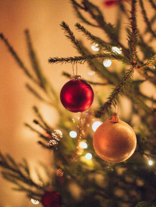 cropped-desmontando-a-arvore-de-natal.jpg