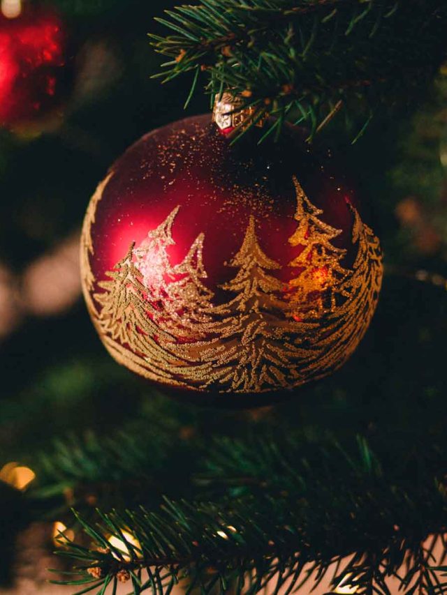 desmontar-arvore-de-natal-é-hoje