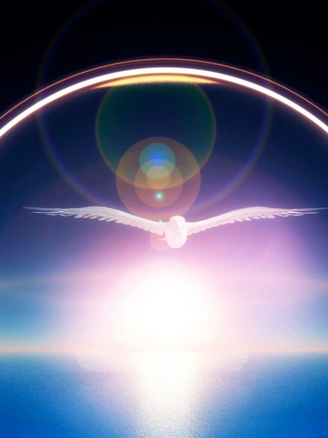Fruits of the Spirit