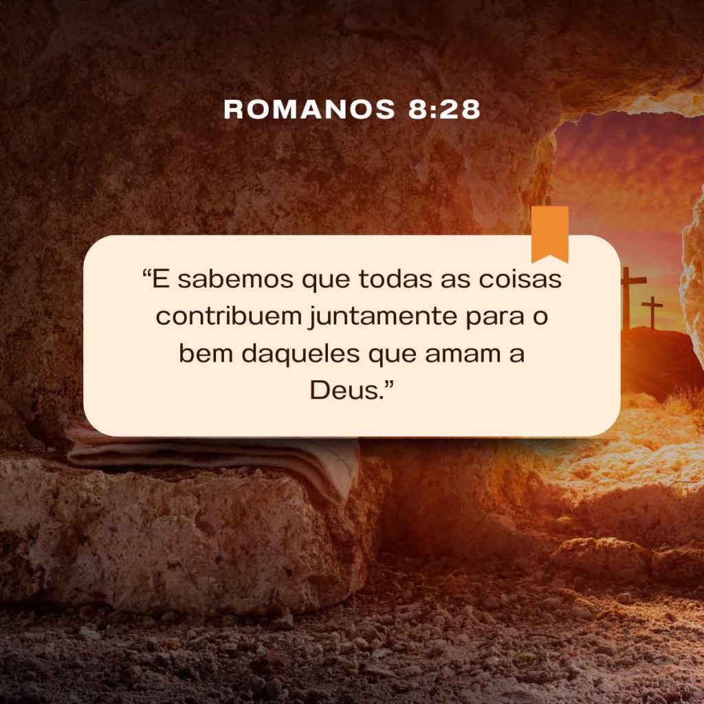 versiculo da biblia romanos 8 28