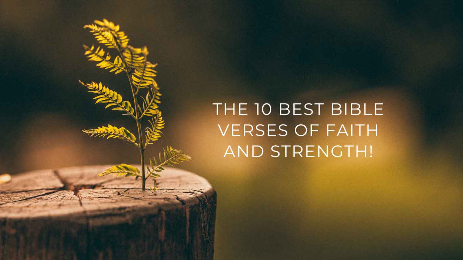 Verse of Faith and Strength