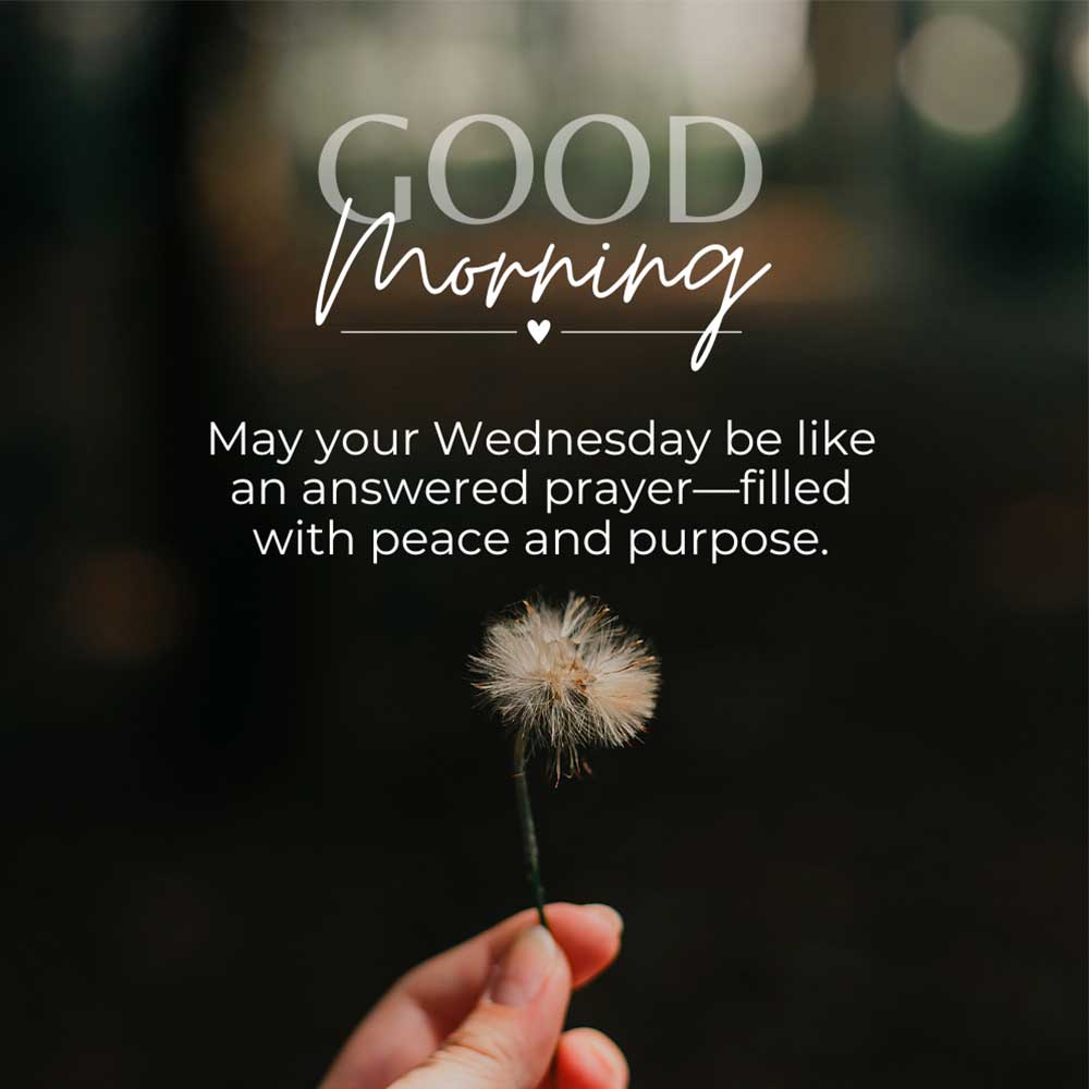 blessed Wednesday good mornning