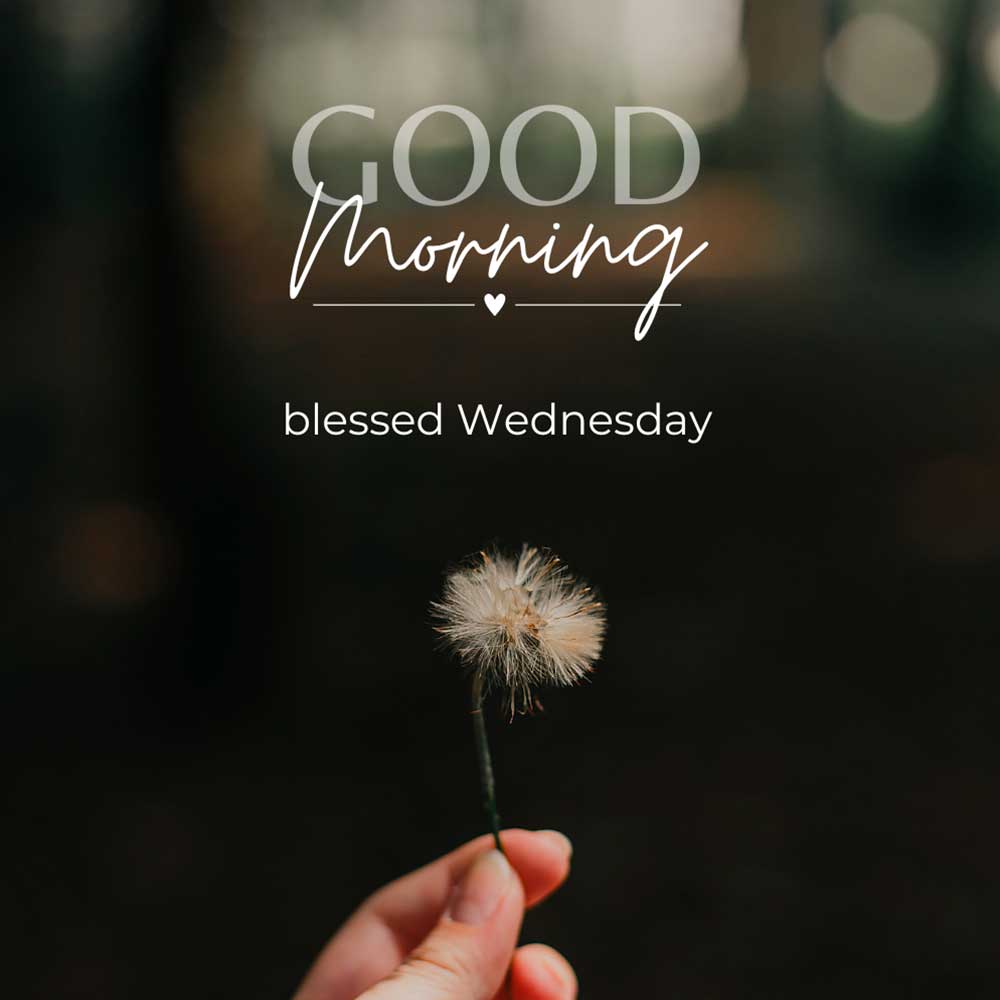 Good Morning Blessed Wednesday