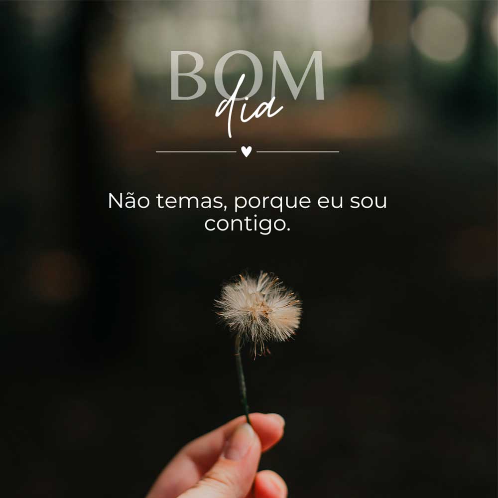 bom dia quarta-feira abençoada
