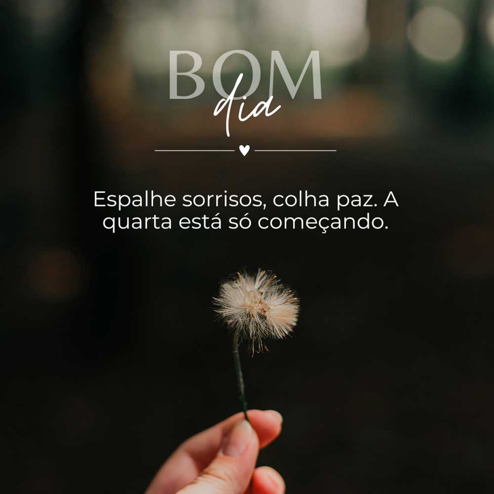 espalhe sorrisos bom dia quart