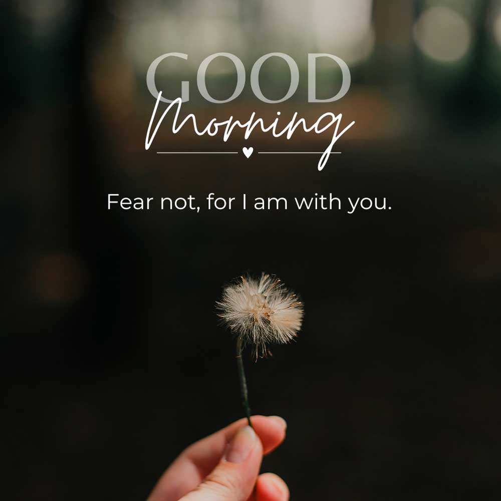 fear not
