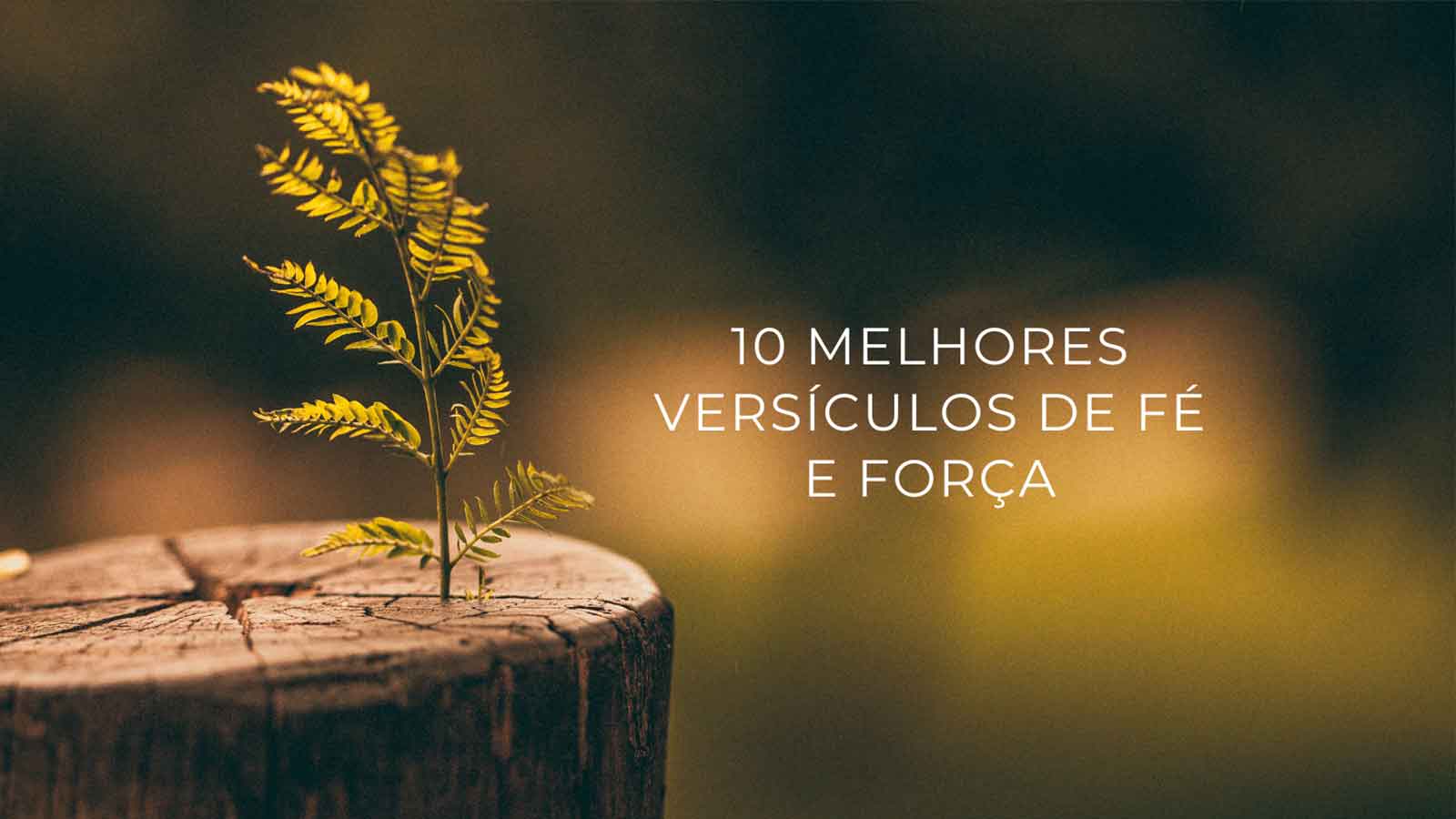 versículo de fé e força