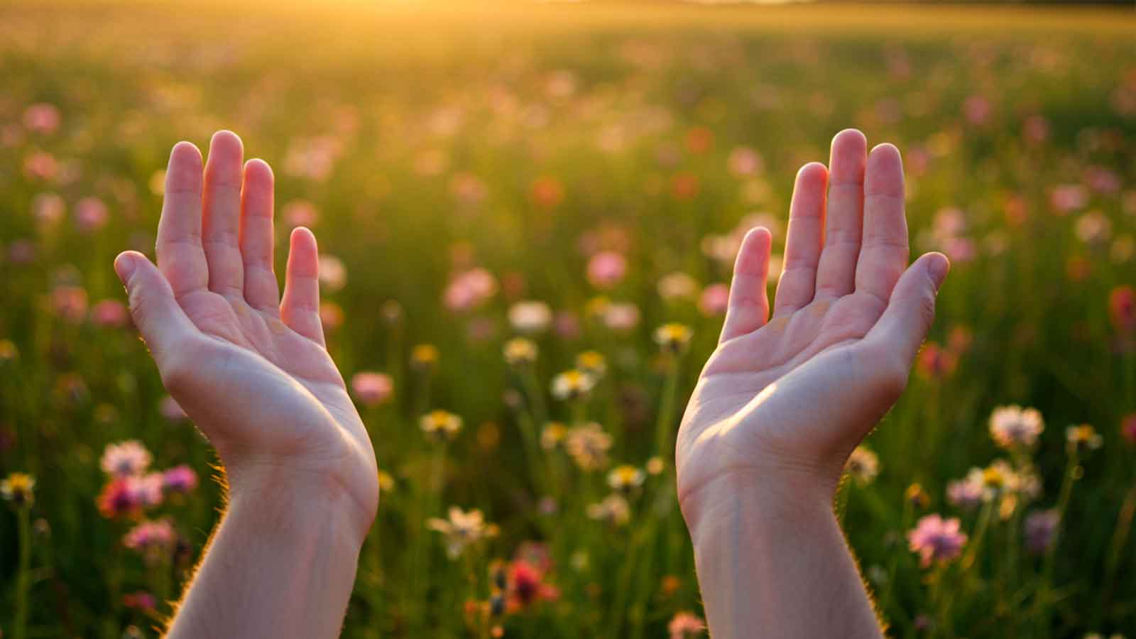 Psalm 105