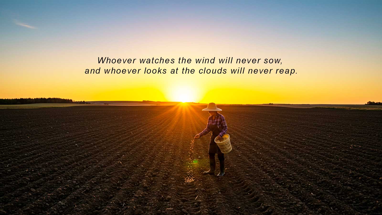 Ecclesiastes 11 4