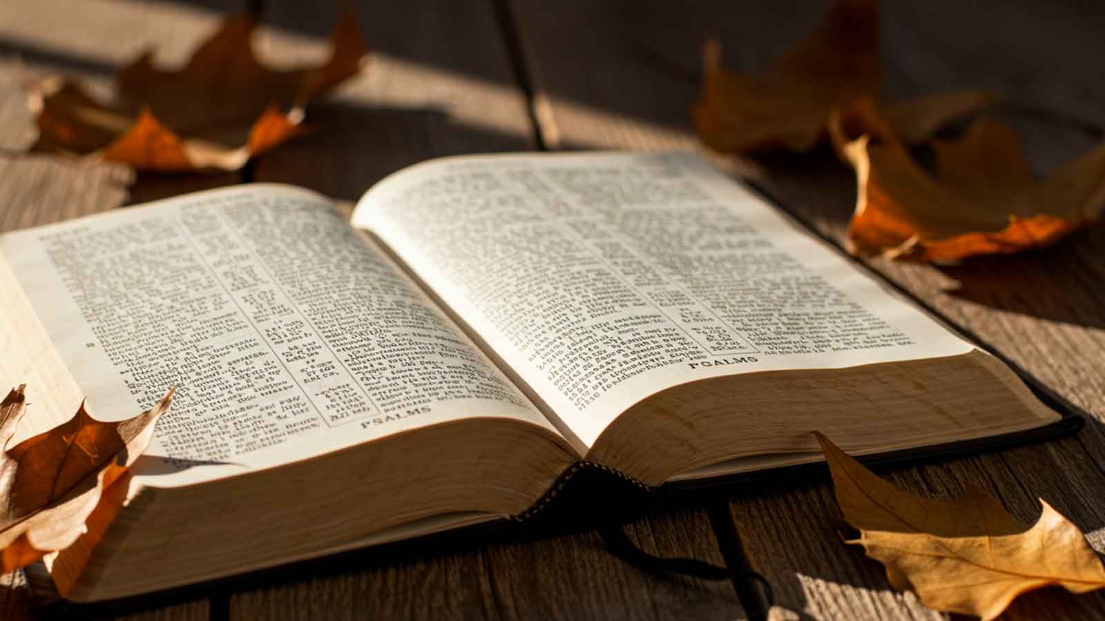 murmurar na biblia