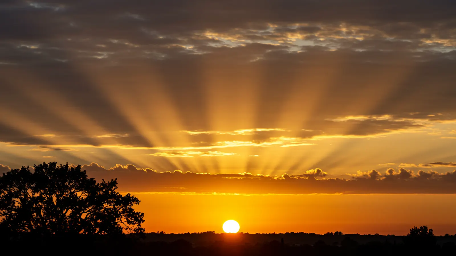 boa tarde iluminada por Deus