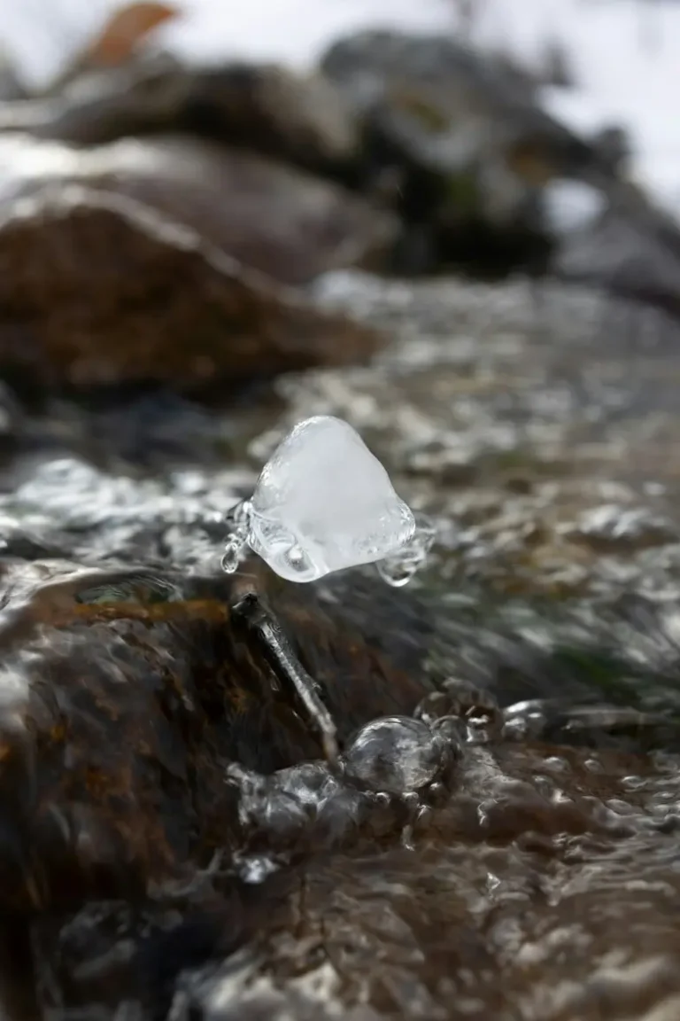 Água Limpa em Sonhos: Prepare-se para a Revelação!
