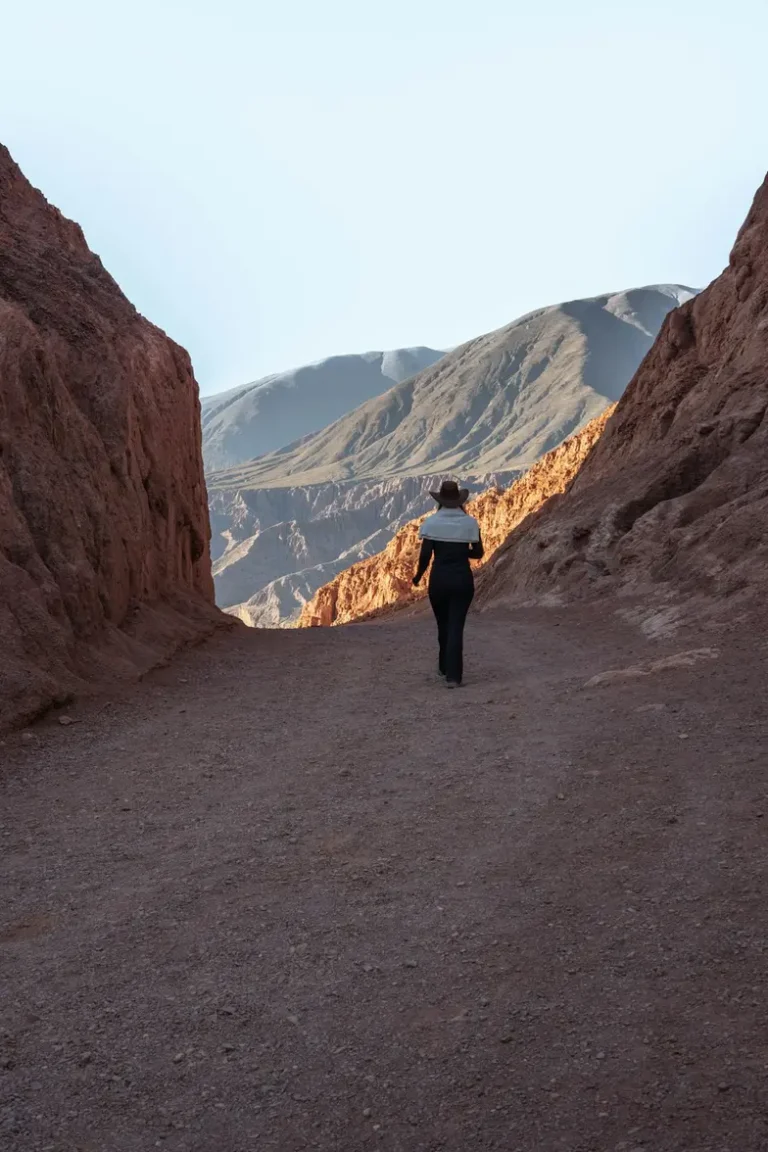 O que ninguém te contou sobre os ursos e os 42 jovens