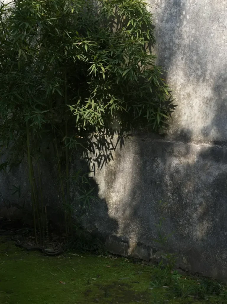 A verdade oculta sobre Lilis, a primeira mulher de Adão